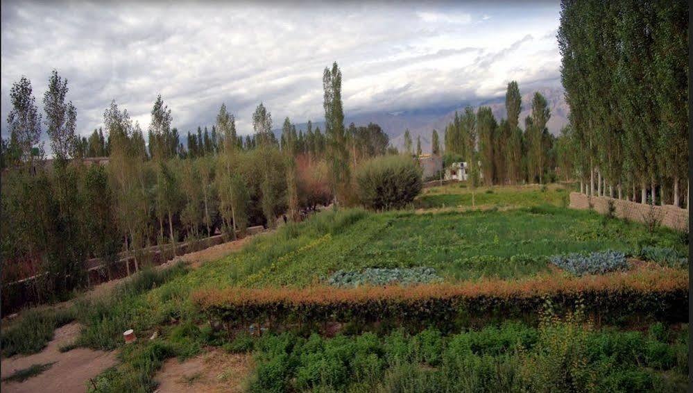 Hotel Ladakh Heaven Leh Ngoại thất bức ảnh