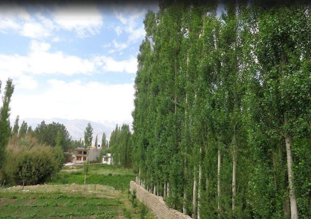 Hotel Ladakh Heaven Leh Ngoại thất bức ảnh