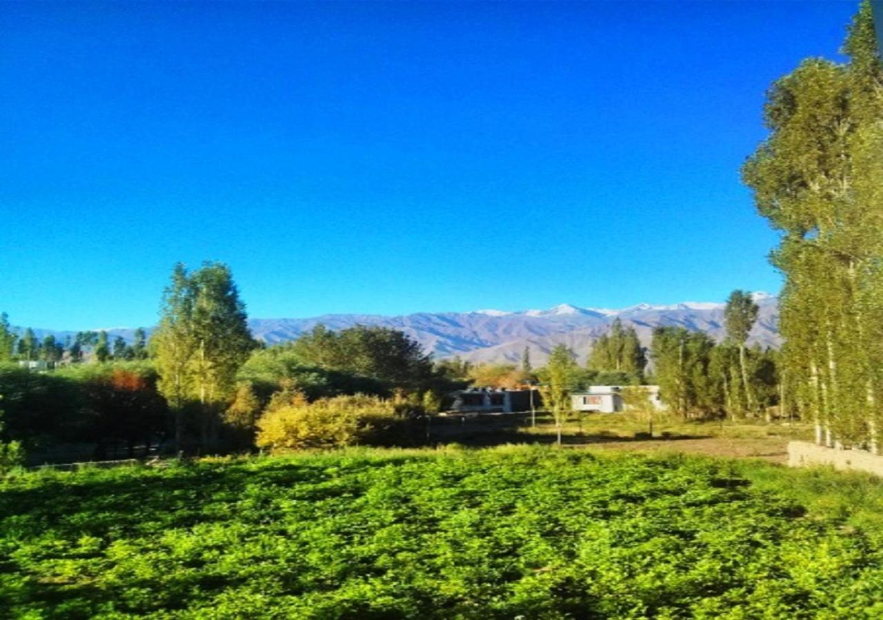 Hotel Ladakh Heaven Leh Ngoại thất bức ảnh